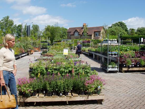 Hare Hatch Sheeplands